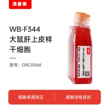 WB-F344（大鼠肝上皮样干细胞）