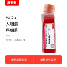FaDu（人咽鳞癌细胞）