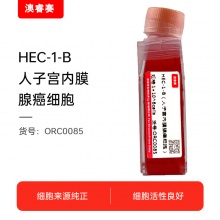 HEC-1-B（人子宫内膜腺癌细胞）
