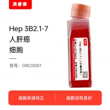 Hep 3B2.1-7（人肝癌细胞）