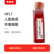HFL1（人胚肺成纤维细胞）
