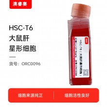 HSC-T6（大鼠肝星形细胞）