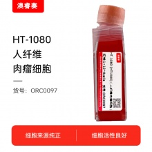HT-1080 [HT1080]（人纤维肉瘤细胞）