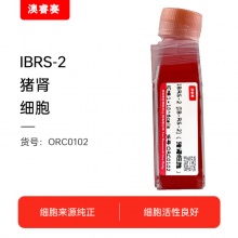 IBRS-2 [IB-RS-2]（猪肾细胞）
