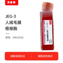 JEG-3（人绒毛膜癌细胞）