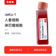 JeKo-1（人套细胞淋巴瘤细胞）