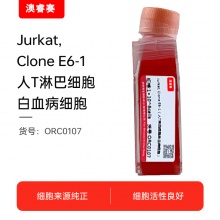 Jurkat, Clone E6-1（人T淋巴细胞白血病细胞）