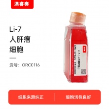 Li-7（人肝癌细胞）