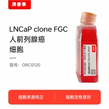 LNCaP clone FGC（人前列腺癌细胞）