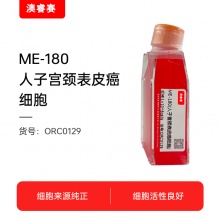 ME-180（人子宫颈表皮癌细胞）