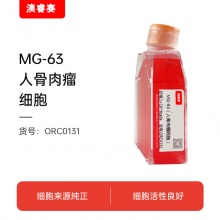 MG-63（人骨肉瘤细胞）