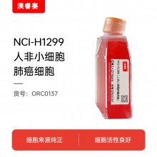 NCI-H1299（人非小细胞肺癌细胞）