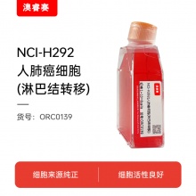 NCI-H292（人肺癌细胞（淋巴结转移））