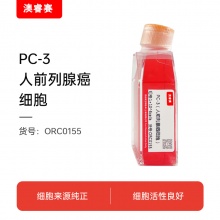 PC-3（人前列腺癌细胞）