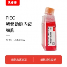 PIEC（猪髋动脉内皮细胞）