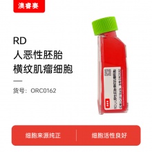 RD（人恶性胚胎横纹肌瘤细胞）