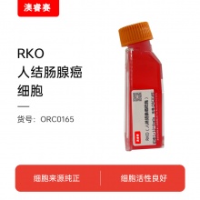 RKO（人结肠腺癌细胞）