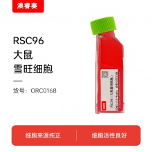 RSC96（大鼠雪旺细胞）