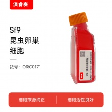 Sf9（昆虫卵巢细胞）