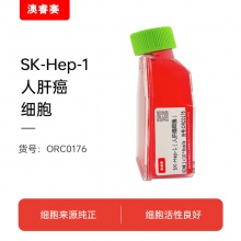 SK-Hep-1（人肝癌细胞）