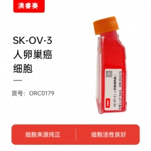 SK-OV-3（人卵巢癌细胞）