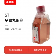 ST（猪睾丸细胞）