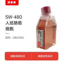 SW480 [SW-480]（人结肠癌细胞）