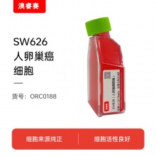 SW626（人卵巢癌细胞）