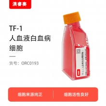 TF-1（人血液白血病细胞）