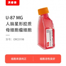 U-87 MG（人脑星形胶质母细胞瘤细胞）