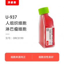 U-937（人组织细胞淋巴瘤细胞）