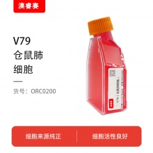 V79（仓鼠肺细胞）