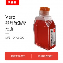 Vero（非洲绿猴肾细胞）