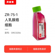 ZR-75-1（人乳腺癌细胞）