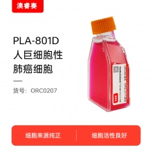 801-D [PLA-801D]（人巨细胞性肺癌细胞）