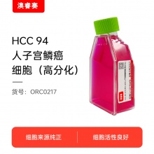 HCC 94 [HCC941122]（人子宫鳞癌细胞（高分化））