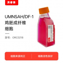 UMNSAH/DF-1（鸡胚成纤维细胞）