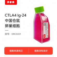 CTLA4 Ig-24（中国仓鼠卵巢细胞）