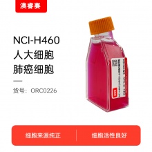 NCI-H460 [H460]（人大细胞肺癌细胞）