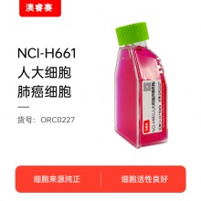 NCI-H661（人大细胞肺癌细胞）