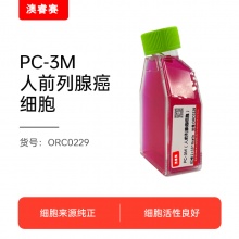 PC-3M（人前列腺癌细胞）