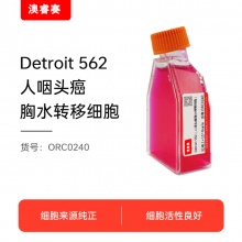 Detroit 562（人咽头癌胸水转移细胞）