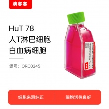 HuT 78（人T淋巴细胞白血病细胞）