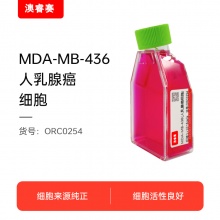 MDA-MB-436（人乳腺癌细胞）