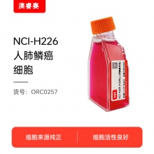 NCI-H226 [H226]（人肺鳞癌细胞）