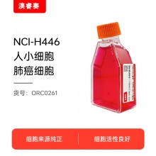 NCI-H446 [H446]（人小细胞肺癌细胞）
