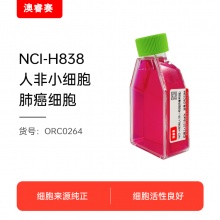 NCI-H838（人非小细胞肺癌细胞）