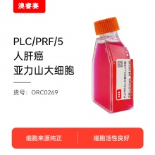 PLC/PRF/5（人肝癌亚力山大细胞）