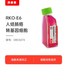 RKO-E6（人结肠癌转基因细胞）