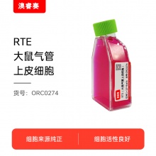 RTE（大鼠气管上皮细胞）
